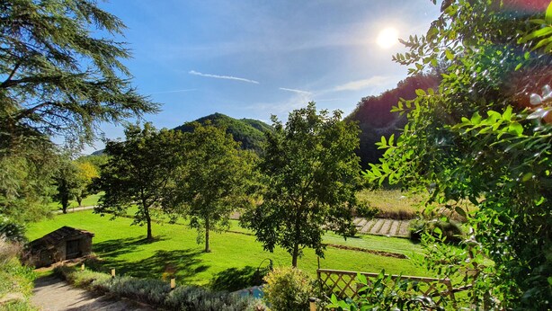 Un paisaje rural con una pequeña cabaña de madera, campos verdes exuberantes y árboles.