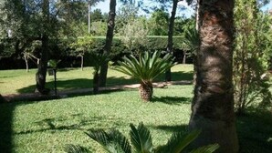 A well-maintained garden with a variety of trees and a palm plant in the foreground.
