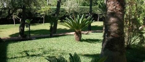 Parco della struttura