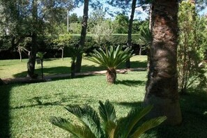Parco della struttura