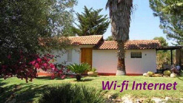 A small house with a tiled roof, surrounded by greenery and a palm tree.