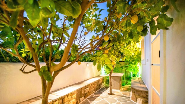 Property grounds - Family Room (4-5 Adults) - Semi Basement, near Center, Parikia (Paros Greece)
