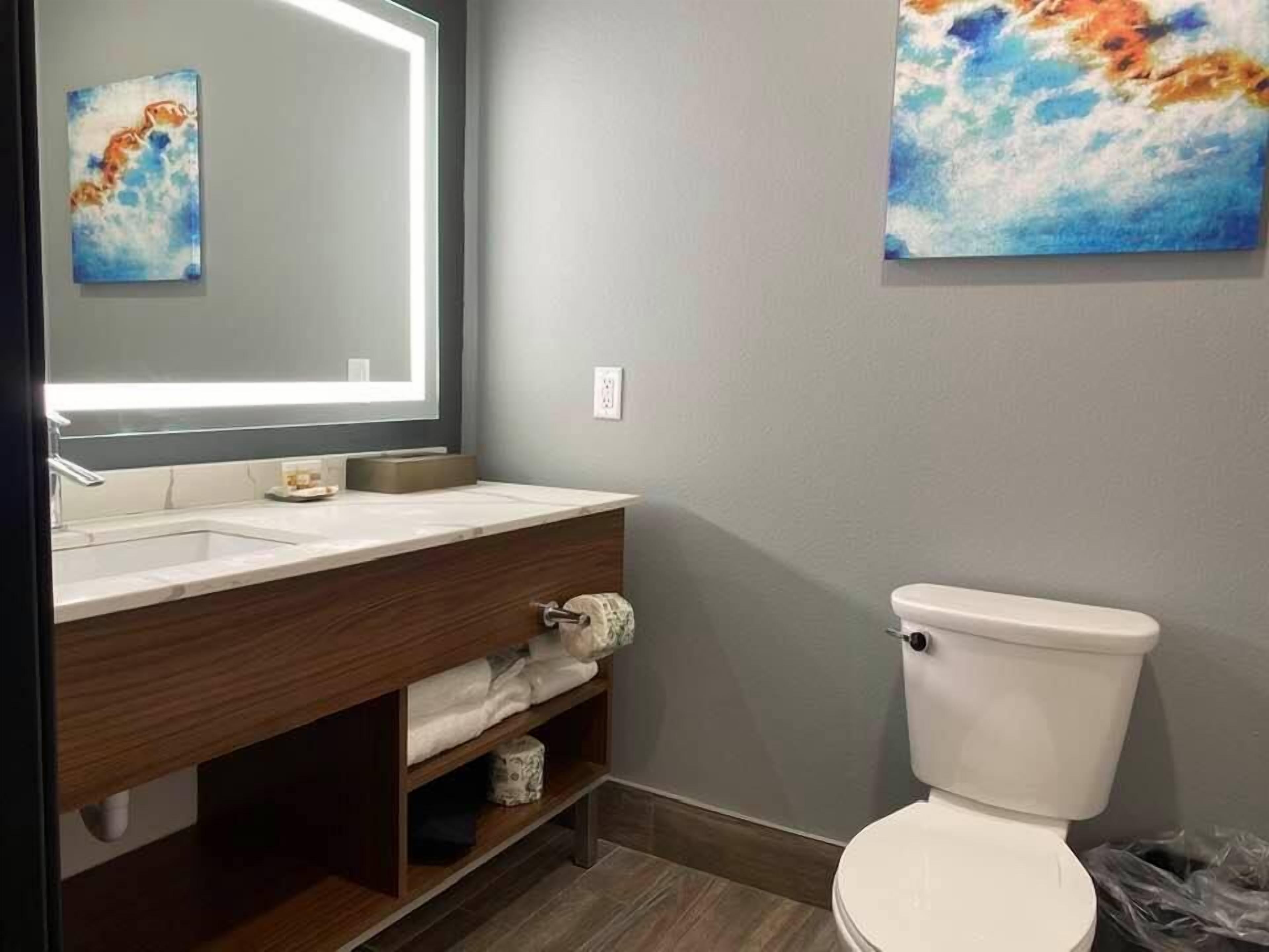 A bathroom with a modern vanity, a toilet, and two artworks on the walls.