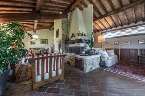 Télévision, cheminée, lecteur de DVD, livres