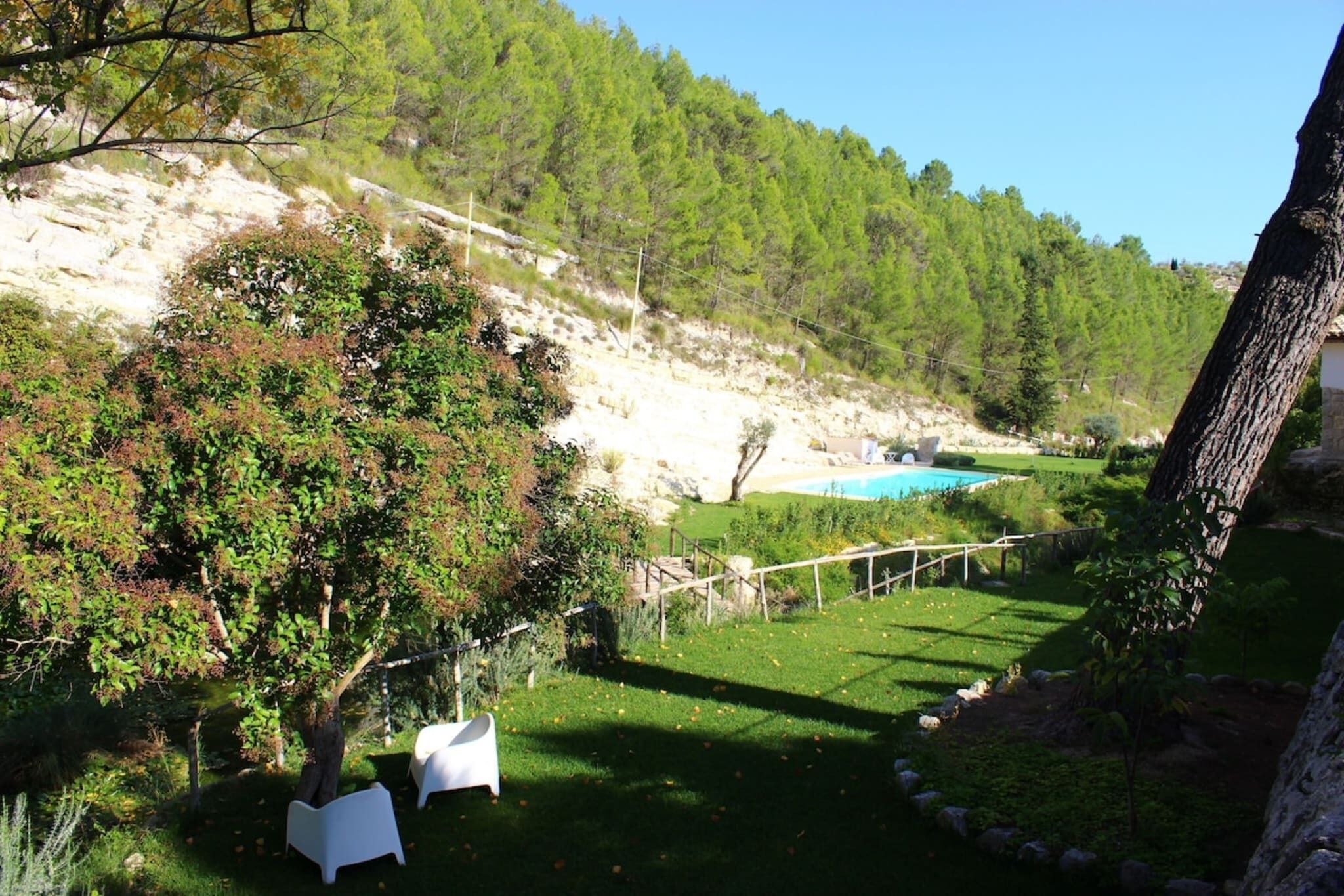 A lush garden with a pool, surrounded by trees and a stone wall.