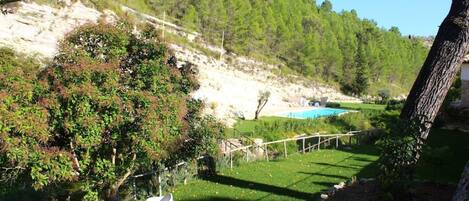 A lush garden with a pool, surrounded by trees and a stone wall.
