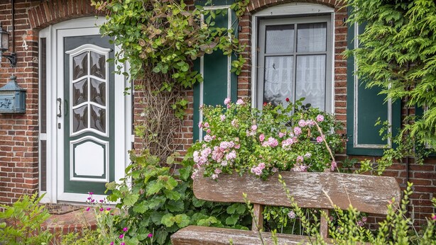 Une maison en briques avec une porte et des volets verts, un banc en bois et des fleurs roses.