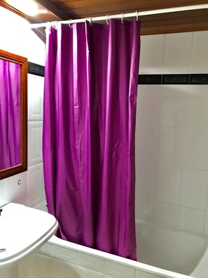 Combined shower/tub, hair dryer, bidet, towels