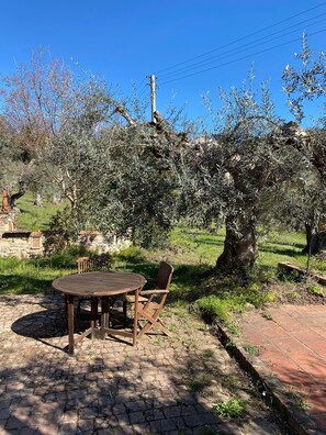 Outdoor dining - Podere Piaggette of segalgari - Sea side  (castagneto carducci)