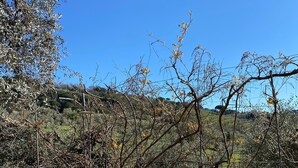 A patio with a table and chairs, surrounded by a fence and trees. - Podere Piaggette of segalgari - Sea side  (castagneto carducci)