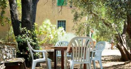 Podere Piaggette of segalgari - Sea side