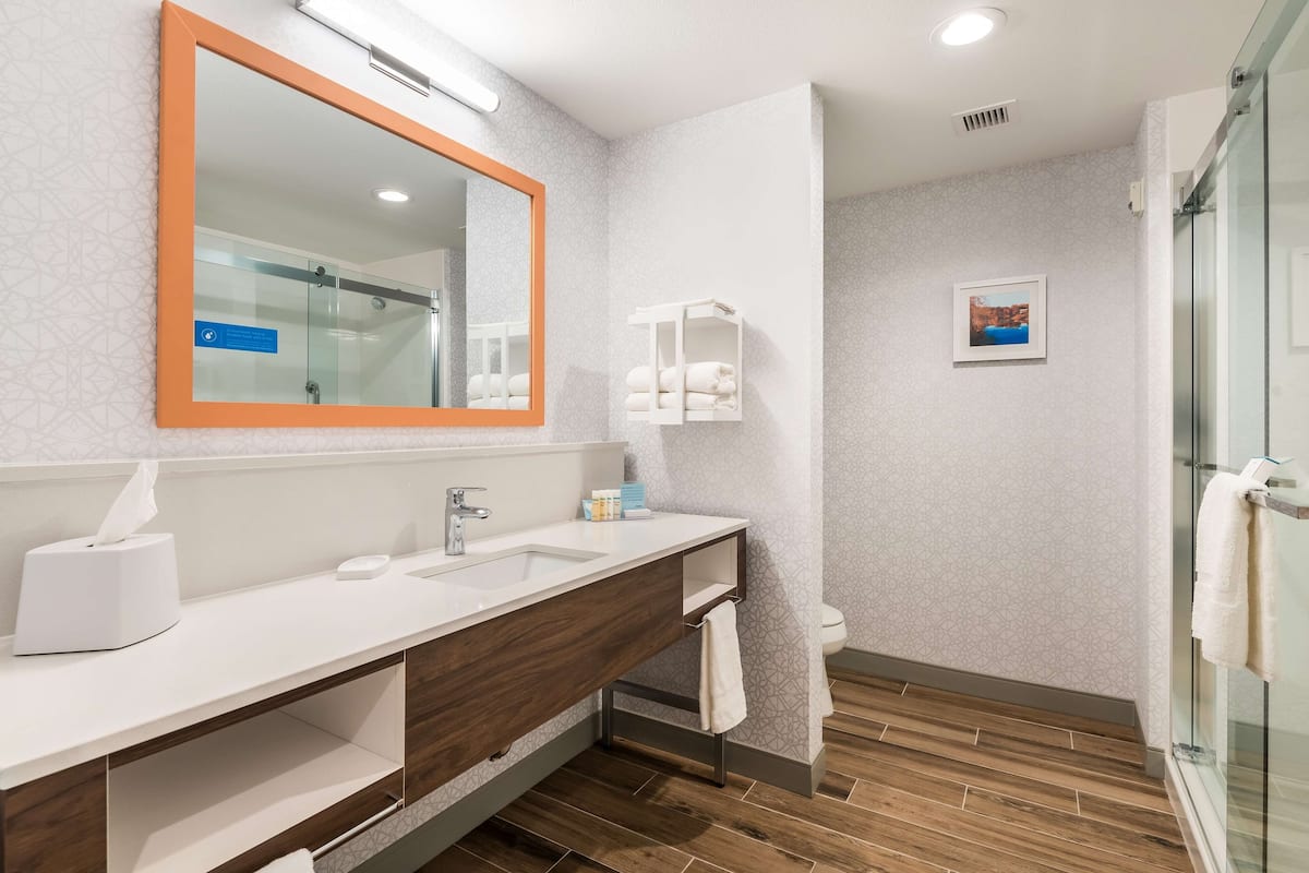 standard room, 1 king bed, accessible (hearing) | bathroom | free toiletries, hair dryer, towels