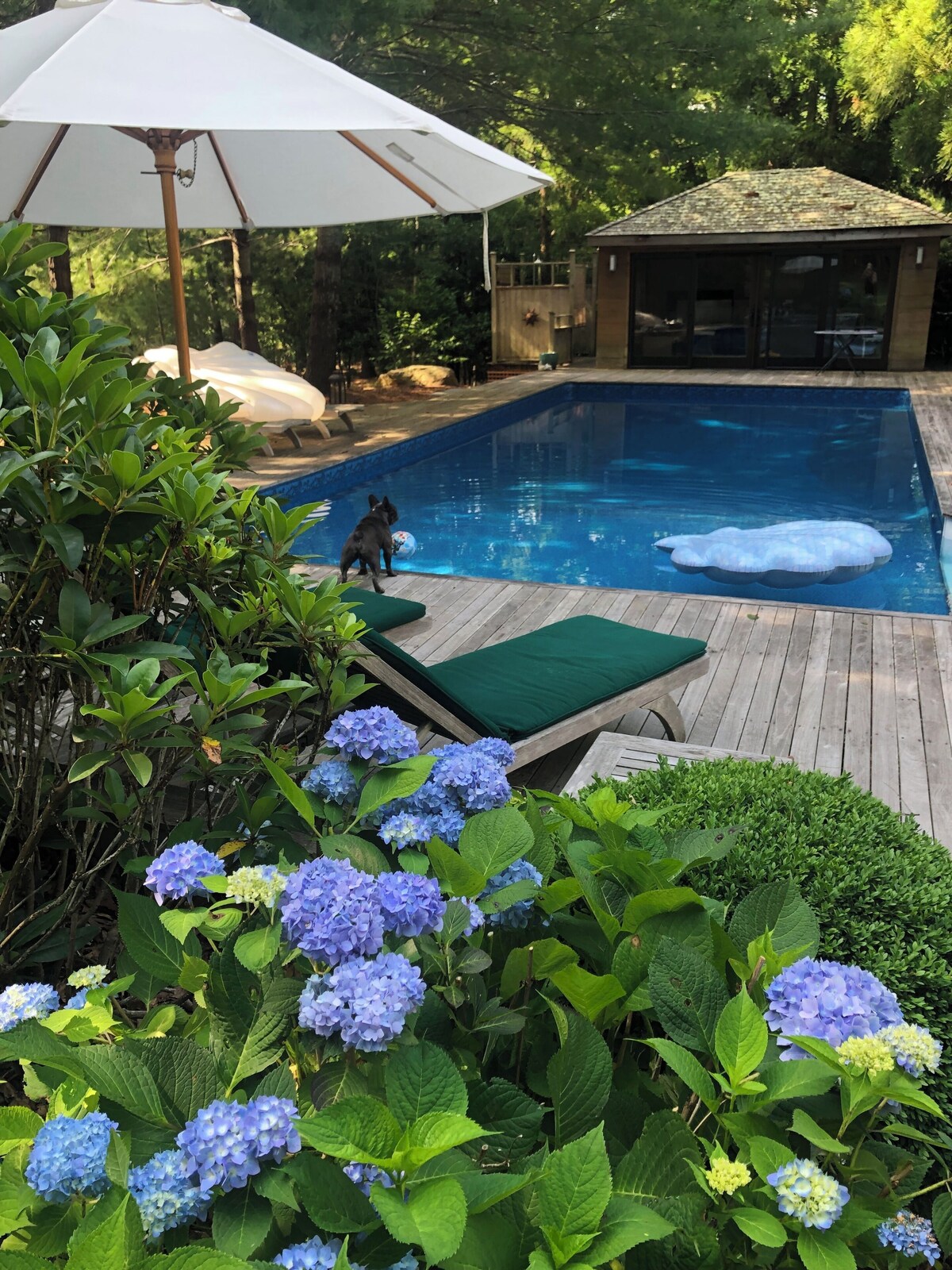 Imagen de perfil del propietario o de la propietaria