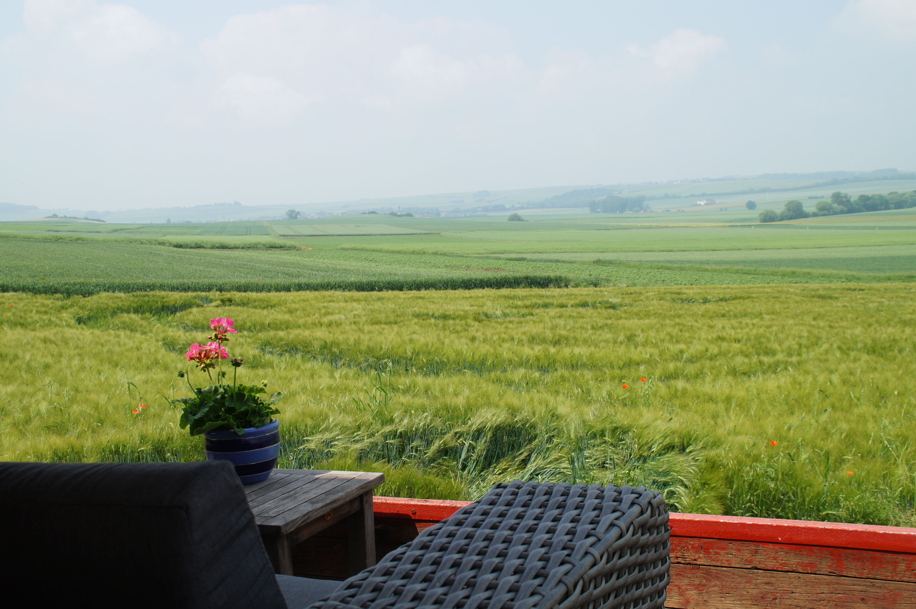 Une vue depuis une fenêtre donnant sur un champ verdoyant, avec une table en bois et une chaise.