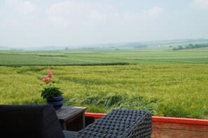 A view from a window overlooking a green field with a wooden table and a chair.