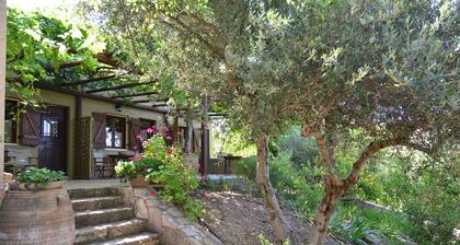 Viglatoras Sarchos Maleviziou