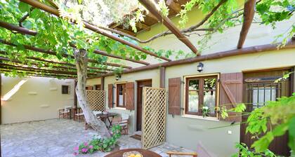 Viglatoras Sarchos Maleviziou