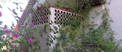 Detalle exterior
