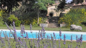 Une piscine entourée de plantes de lavande, avec un bâtiment en pierre et des arbres en arrière-plan.