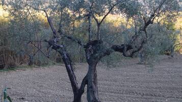 المنطقة المحيطة بالمنشأة