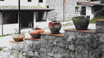 المنطقة المحيطة بالمنشأة