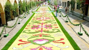 A long, narrow pathway with a colorful floral carpet design, flanked by greenery and small trees, leading towards a distant archway. - TIGLI APARTMENT NEAR VENICE (Noale)