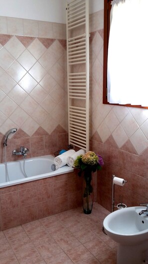 Hair dryer, towels - TIGLI APARTMENT NEAR VENICE (Noale)