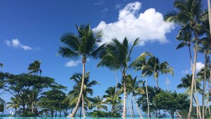 A clear blue pool surrounded by tall palm trees under a bright blue sky. - Stunning Luxury Oceanfront House, Modern,  Best of The Best Location  (Las Terrenas)