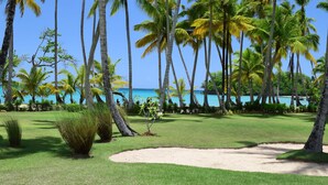 A tropical landscape with palm trees and a clear blue sky. - Stunning Luxury Oceanfront House, Modern,  Best of The Best Location  (Las Terrenas)