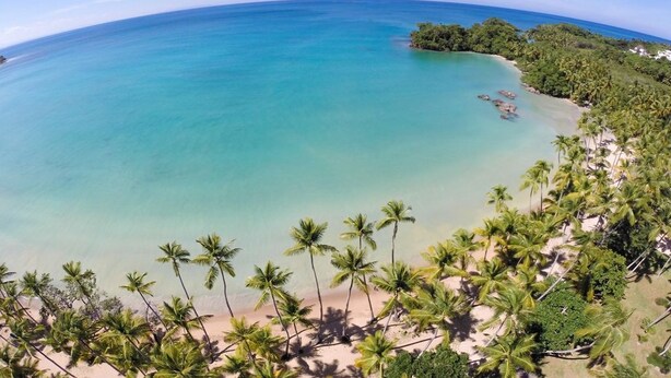 A tropical beach with clear turquoise water, palm trees, and a sandy shore. - Stunning Luxury Oceanfront House, Modern,  Best of The Best Location  (Las Terrenas)