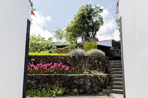 Property grounds - Casa da Avó - Quinta da Ribeira da Urze (Prainha de cima)