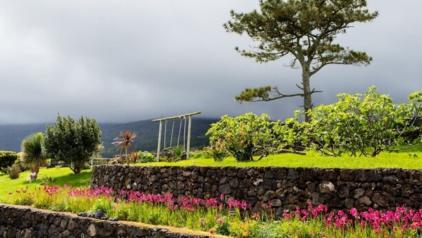 A garden with a stone wall, a tree, and a swing set. - Casa da Avó - Quinta da Ribeira da Urze (Prainha de cima)