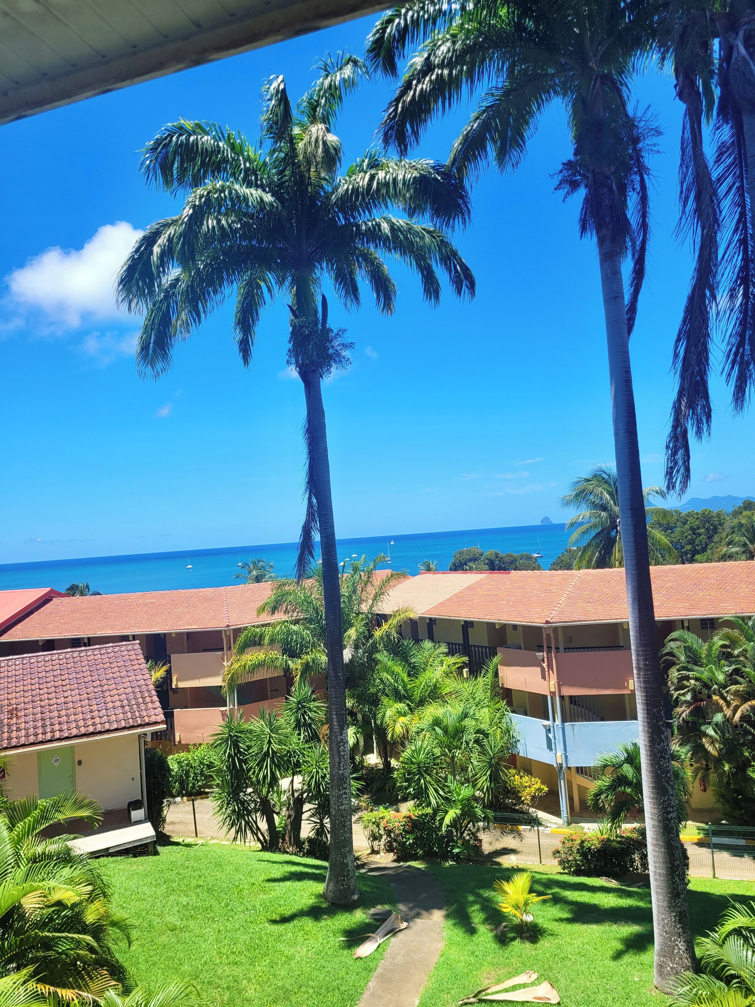 A view of a hotel with multiple buildings, palm trees, and a clear blue sky.