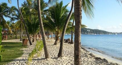 Studio Vue mer des Caraïbes, un Petit Coin de Paradis