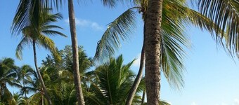 Studio Vue mer des Caraïbes, un Petit Coin de Paradis