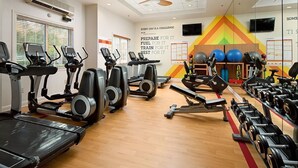 A gym with treadmills, elliptical machines, and weight benches.