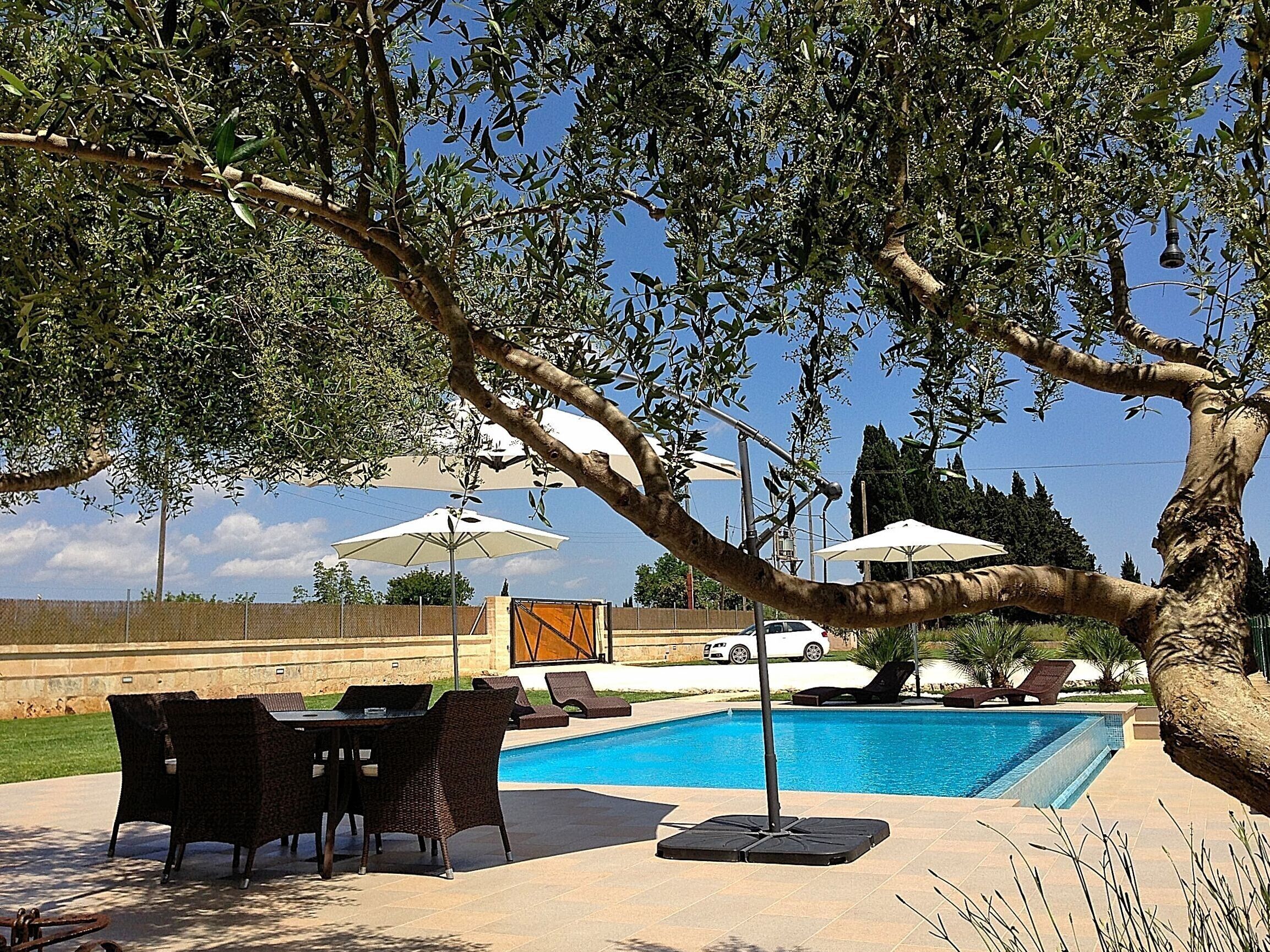 Un espace aménagé au bord de la piscine, avec une table et des chaises, des parasols et un arbre.
