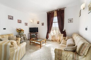 Télévision, cheminée, jeux vidéo, lecteur de DVD