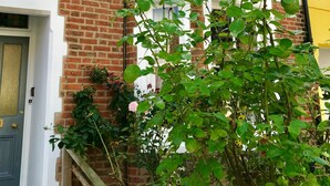 A two-story brick house with a white door and windows, a small garden with green plants and a pink flower, and a yellow wall to the right. - The Walton House near City Center (Oxford)
