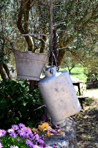 All-around experience in lovely apartment within the farm.