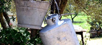 All-around experience in lovely apartment within the farm.