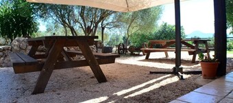 All-around experience in lovely apartment within the farm.