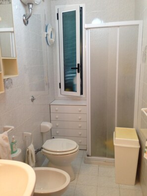 Shower, hair dryer, bidet, towels