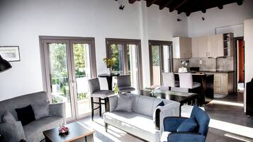 TV, fireplace, DVD player