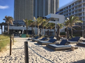 Um hotel à beira-mar com espreguiçadeiras e palmeiras.