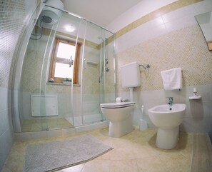 Shower, hair dryer, bidet, towels