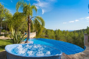 A swimming pool with a hot tub, surrounded by palm trees and a view of the landscape.