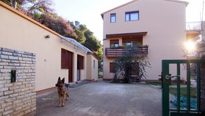 Ein Gebäude mit befestigter Auffahrt, einem Hund und einem grünen Tor.