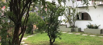 OliLer s House&Garden Zona Centro