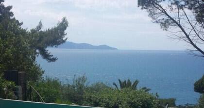 Apartment with 2 bedrooms, private garden, private access to the sea and swimming pool